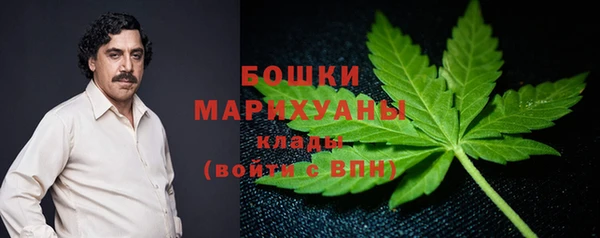 дмт Лиски