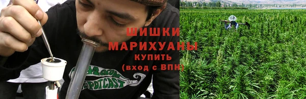 spice Лагань