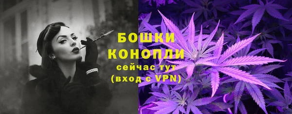 spice Лагань