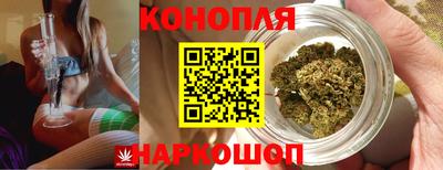 молекула духа Заводоуковск