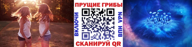 Псилоцибиновые грибы Psilocybine cubensis  хочу   Мелеуз 