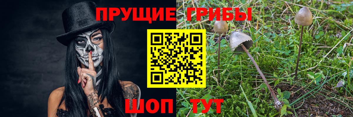 Псилоцибиновые грибы MAGIC MUSHROOMS  Галлюциногенные грибы мухоморы  цена наркотик  Вход с VPN  Мелеуз 