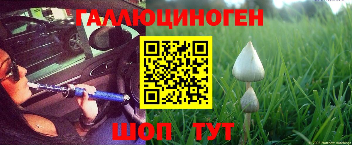 Псилоцибиновые грибы Cubensis  Псилоцибиновые грибы Psilocybine cubensis  Мелеуз 