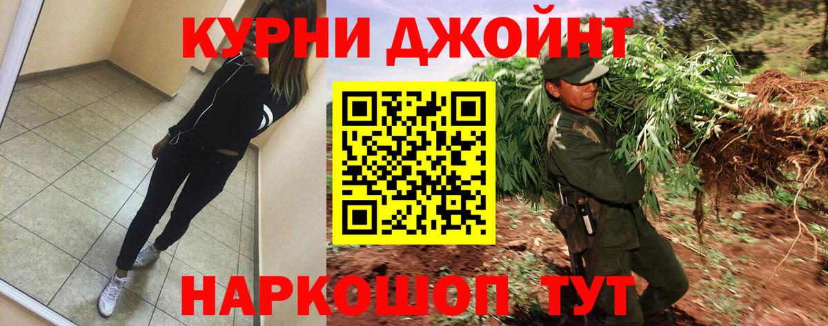 Каннабис план  Канабис планчик  Мелеуз  Каннабис OG Kush 